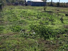 Dambovita, 44 km de Bucuresti, sat Bolovani/ Cornatelu, intravilan comis. 0